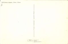 CPA Fantaisie Fleurs Zinnie