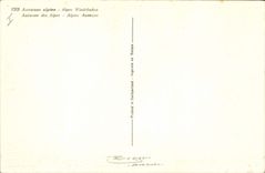 CPA Fantaisie Fleurs Anemone des Alpes