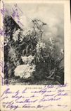Vintage Postcard Fantasy Flowers Edelweiss