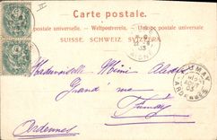 CPA Fantaisie Fleurs Edelweiss