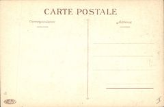 CPA Fantaisie Fleurs Iris