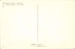 CPA Fantaisie Fleurs Chardon d'argent