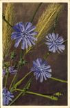 CPA Fantaisie Fleurs Cichorium Intybus