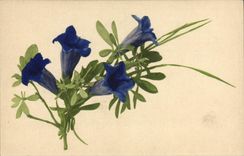 CPA Fantaisie Fleurs 