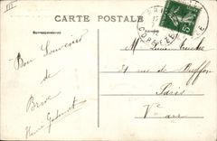 Vintage Postcard Pig Pig a happy small family