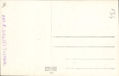 CARTE PHOTO Cochon Porc 