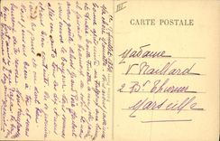 Vintage Postcard Pig Auvergne Pig a happy small family