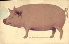 Vintage Postcard Cochon Pig I carry happiness (pig in relief)