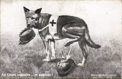 CPA Fantaisie Illustrateur Militaria Le chien sanitaire et patriote Croix Rouge 