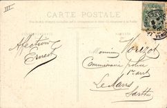 Vintage Postcard Folklore Collapses It Donkey Mule