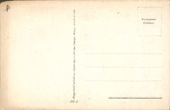 CPA Fantaisie Illustrateur Nanni Femme 