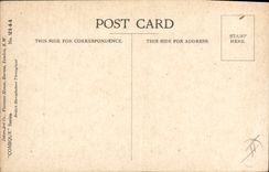 CPA Fantaisie Illustrateur Donald Mc Gill 