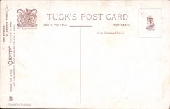 CPA Fantaisie Illustrateur Chien Look before you leap Escargot 