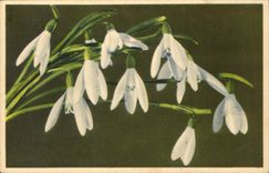 CPA Fantaisie Fleurs 