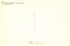 CPA Fantaisie Fleurs Auricule des Alpes