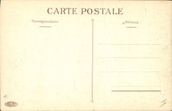 CPA Fantaisie Fleurs Iris