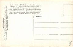 Postal Niño Contrabajo