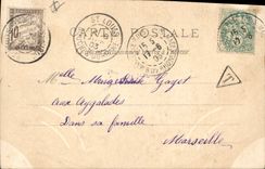 Postal Alzapano la madre Gato Arpa