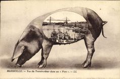 Vintage Postcard Pig Marseilles Pig Seen of the transporter in a pig Boats