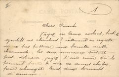 Vintage Postcard Pig pastoral Pig Idyll