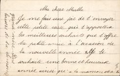 CPA Cochon Porc Enfants Fleurs Fer a cheval 