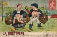 CPA Cochon Porc Bretagne 