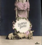 CPA Cochon Porc Femme 