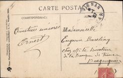 CPA Cochon Porc Femme Bonne annee 