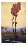 Vintage Postcard Fantasy Illustrator Hansi Alsace two trees