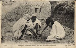 Vintage Postcard Saharan playing Ladies with droppings of camels