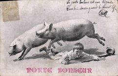 CPA Cochon Porc Enfant Porte bonheur 
