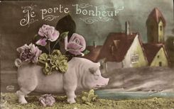 CPA Cochon Porc 