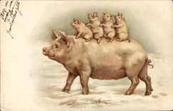CPA Cochon Porc 