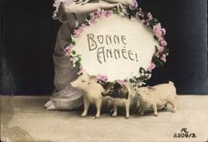 CPA Cochon Porc Femme Bonne annee 