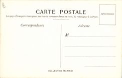 Vintage Postcard Fantasy Illustrator the tonic Mariani Weerts Mariani Album