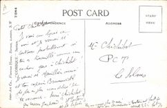 Vintage Postcard Fantasy Illustrator Woman Donkey Mule