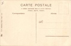 Postal Fantasia Flores Miosota y Perforador Nieve