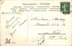 CPA Cochon Porc Femme Bonne annee 