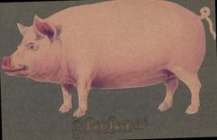 Vintage Postcard Cochon Pig Carries happiness