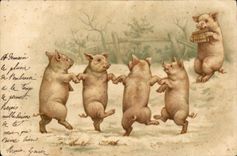 CPA Cochon Porc 