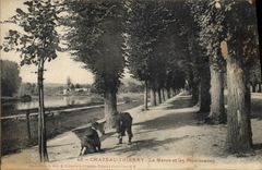 Vintage Postcard Castle Thierry the Marne and the walks Children