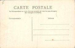 Vintage Postcard the car of Small Christmas Sheep