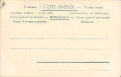 Vintage Postcard Fantasy Illustrator Imp Cat Cats Kitten