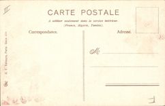 Vintage Postcard Fantasy Flowers Primula