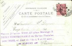 Postal Romeo Bertoglio Violín Violonchelista