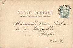 Vintage Postcard Cochon Pig Woman we carry vein