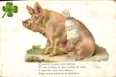 CPA Cochon Porc Trefle 