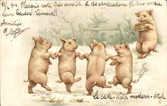 CPA Cochon Porc 