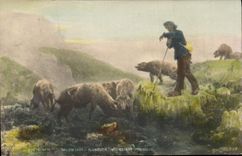 Vintage Postcard Pig Pig Living room 1901 Vaysan Prodigal son Sheep