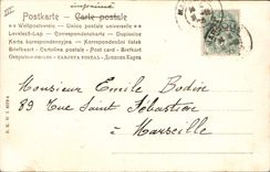 Postal Cerdo Cerdo Mujer Alegre año